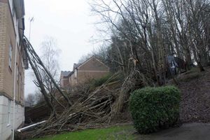A man aged in his 40s suffered head injuries after trees fell into his flat when he was inside it in St Annes, Bristol