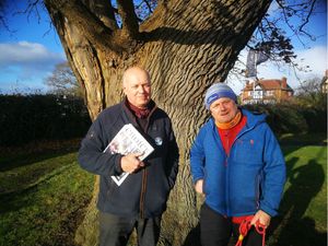 Supporting image for story: Tree Hunter Rob chops Tory big-wig down to size