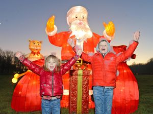 Supporting image for story: Sandwell Valley illuminations lighting up New Year celebrations