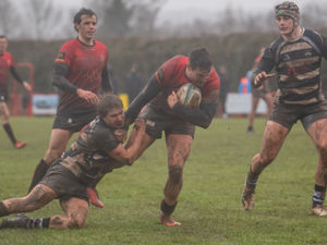 Supporting image for story: Ludlow secure another record season