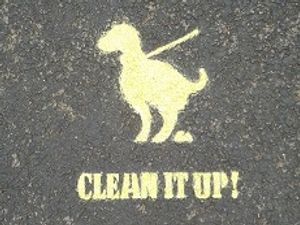 Supporting image for story: New powers to hand out £100 fines for failing to pick up after pooches