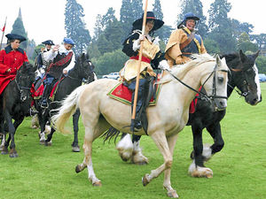 Supporting image for story: Revellers brave the wet weather to have fun at annual Wellington carnival