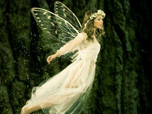 Supporting image for story: Peter Rhodes on the price of fame, old-fashioned court reporting and a new breed of fairies