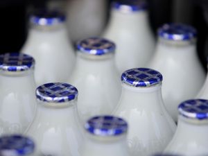 Supporting image for story: Dairy giant Arla warns of summer milk supply crisis due to driver shortage