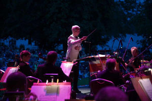 Supporting image for story: Organisers pull plug on big Ellesmere music festival