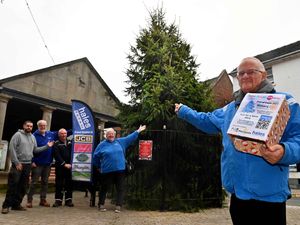 Supporting image for story: Market Drayton prepares for 'busiest and brightest' Christmas Festival of Lights