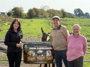 L-R: Fran Ash (Ash Plumbing and Bathrooms), John and Natalie Franklin-Hackett (Frankly Farm Tours) with Jeffrey the Llama