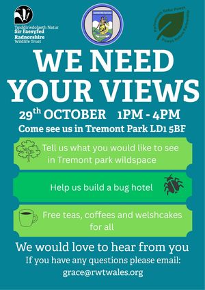 Residents views are being sought on a Llandrindod Wells leisure and nature park