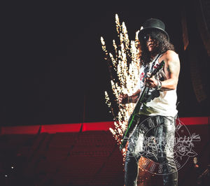 Slash. Pic: Katarina Benzova