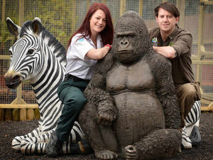 Supporting image for story: Animal magic! Shropshire couple celebrate first anniversary of TV wedding
