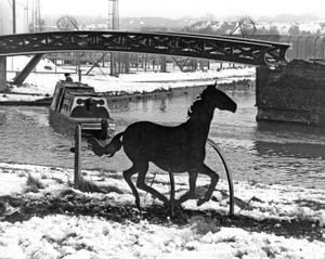 One of the horses at Dudley Port, pictured in 1987