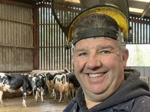 Supporting image for story: Shropshire Farming Talk: Dairy Dynamics – Riding the waves of UK milk prices