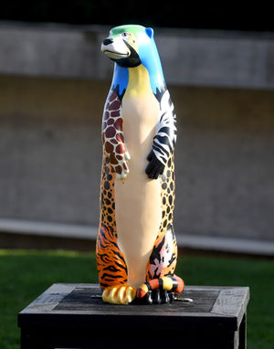 Spotter Otter trail is now on show at Dudley Zoo 