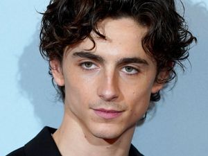 Supporting image for story: Timothee Chalamet drenched in blood in trailer for new cannibal film