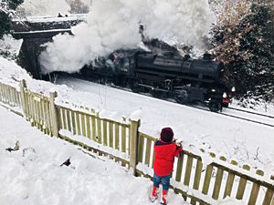 A youngster watches the Santa special steam along the SVR