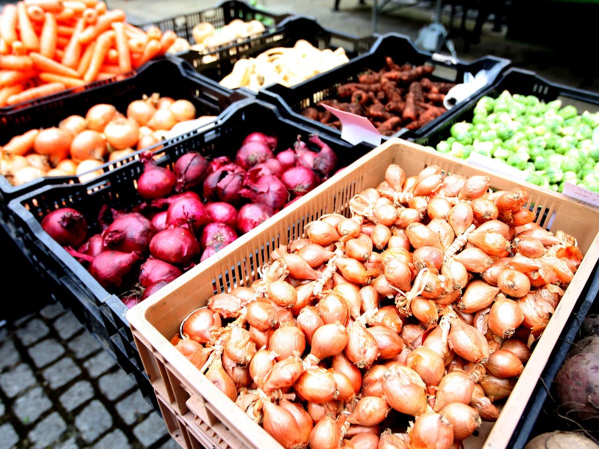 Fruit, veg and nut diet ‘could prevent around 15 million deaths globally’