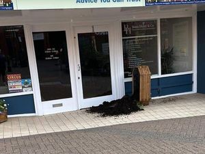 Supporting image for story: Disgust as yob overturns Halesowen in Bloom flower box