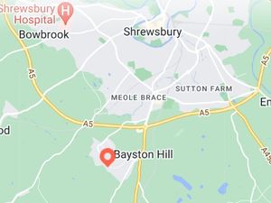 Supporting image for story: Dozens of properties hit by power cut in Shrewsbury 