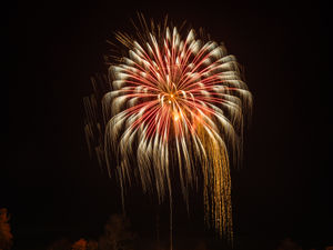 A range of fireworks were used in the display. Photo: Ian Knight / Z70 Photography
