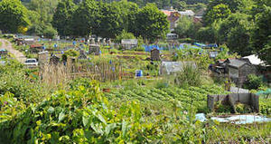 Supporting image for story: Support grows for allotment plan