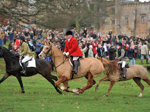 Supporting image for story: They're off! The real joy of foxhunting