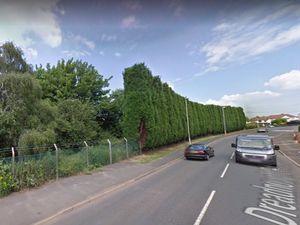 Supporting image for story: Hundreds object to plans for business park in Dudley