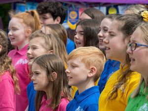 Supporting image for story: Stafford events called off due to coronavirus pandemic