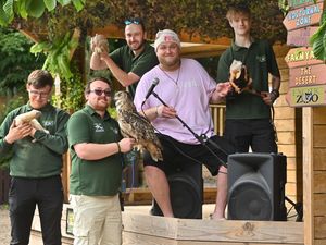 Supporting image for story: The Voice UK star to join Telford Exotic Zoo for brand new festival-style night time event