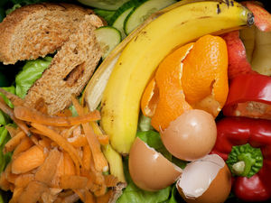 Supporting image for story: Residents in Black Country borough being urged to sign up to get new food waste bin collections