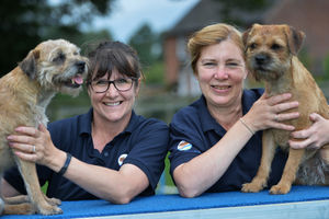 Supporting image for story