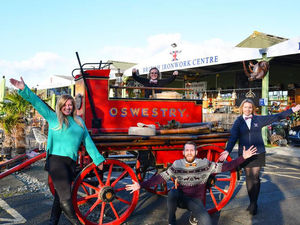 Supporting image for story: Horse-drawn vintage Shropshire fire engine gets new home