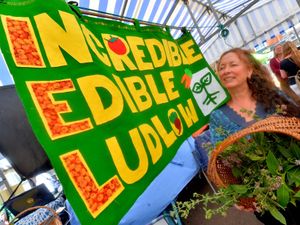 Supporting image for story: Ludlow residents get back to nature for return of green festival