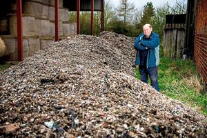 Clean-up – Andrew Nicholls
