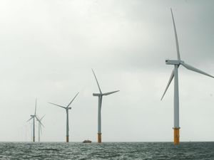 Supporting image for story: Rules to curb harmful underwater noise in offshore wind construction unveiled