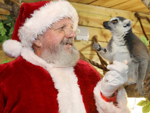 Supporting image for story: Santa Claus makes a wild return to Telford Exotic Zoo