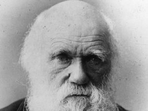 Supporting image for story: Charles Darwin festival attracts global audience