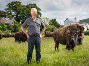 Supporting image for story: Country estate business becomes donation point near Llangollen for items for refugees
