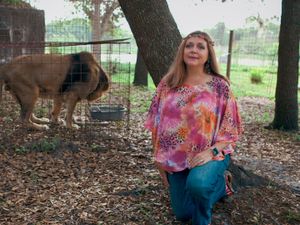 Supporting image for story