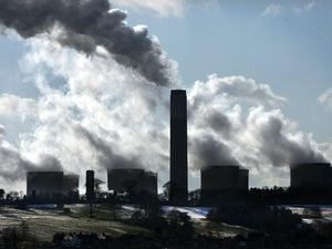 Supporting image for story: Energy group urging people to help environment after Covid-19 crisis