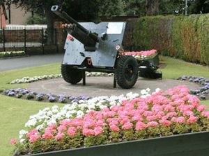 Supporting image for story: Oswestry park gun WILL make way for Wilfred Owen statue