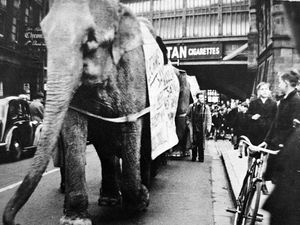 Supporting image for story: Pictures From The Archive – October 22