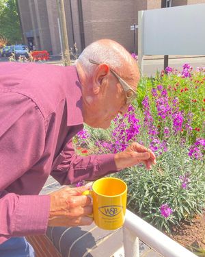 Service user enjoys the new garden