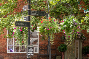Town Centre hanging baskets