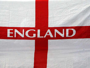 Supporting image for story: Flag flying by binmen is banned