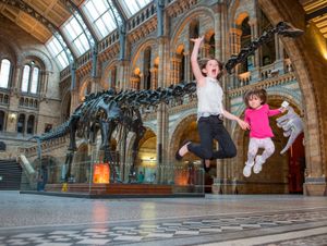 Supporting image for story: Dippy in Birmingham: Fans advised to book free tickets in advance ahead of eagerly-anticipated museum exhibition