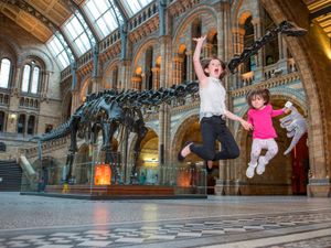 Supporting image for story: Dippy in Birmingham: Fans advised to book free tickets in advance ahead of eagerly-anticipated museum exhibition
