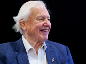 Supporting image for story: Sir David Attenborough to present National Geographic documentary about oceans
