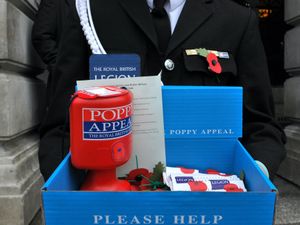 Supporting image for story: MPs calls on public to ‘download a poppy’ and donate online during lockdown
