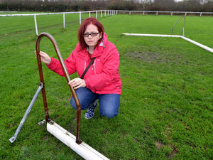 Supporting image for story: Yobs attack football pitch twice in two days