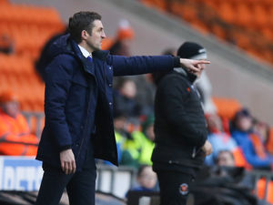 Supporting image for story: Sam Ricketts wants Shrewsbury Town to have a 'glass half full' mentality after goalless draw with Blackpool